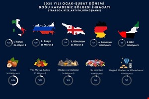 YILIN İLK 2 AYINDA DOĞU KARADENİZ İHRACATI MEVCUT SEVİYESİNİ KORUDU